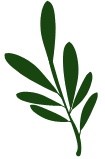 SCELTA