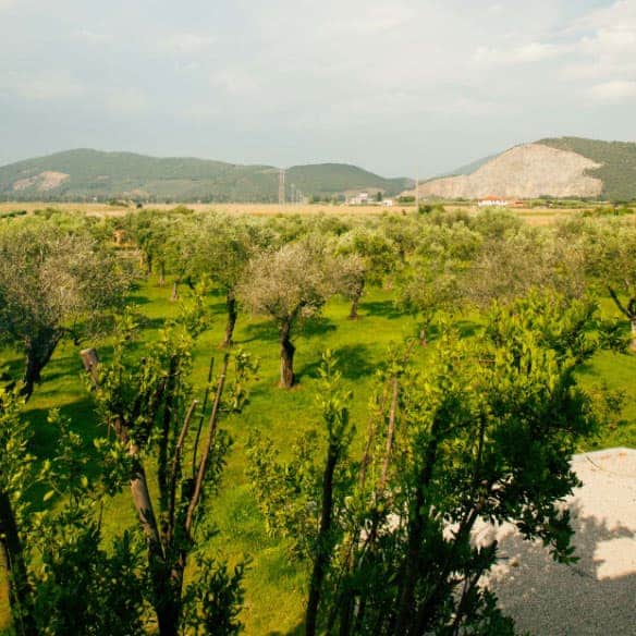 PROGETTO BIODIVERSITÀ