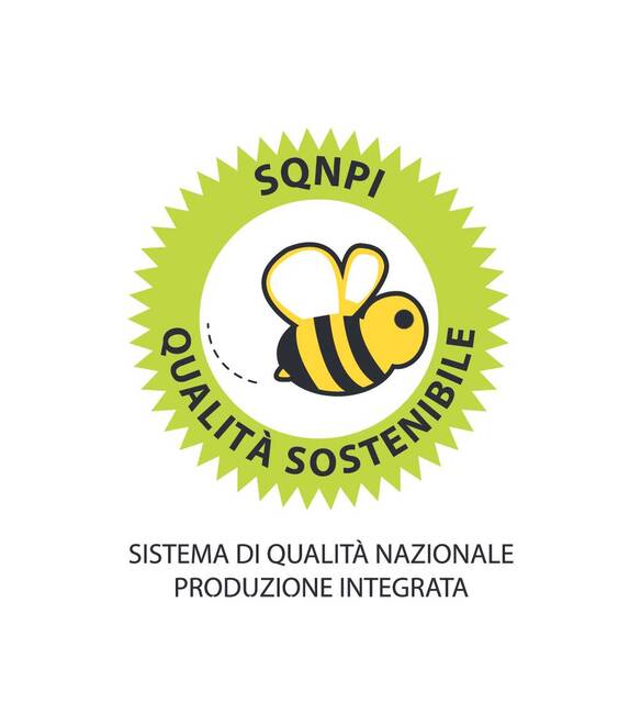 CERTIFICAZIONE SQNPI